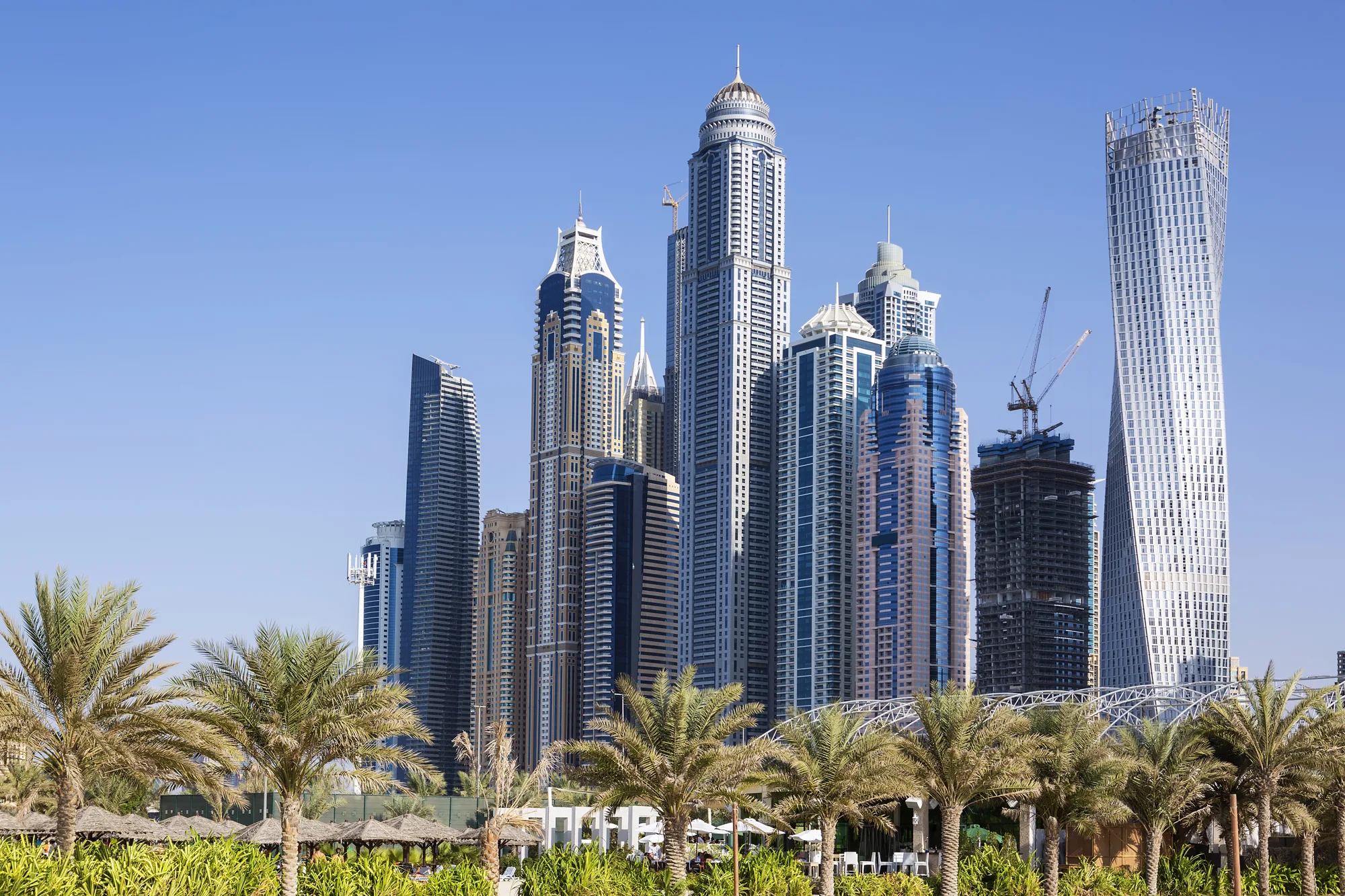 Dubai Marina skyline with palm trees